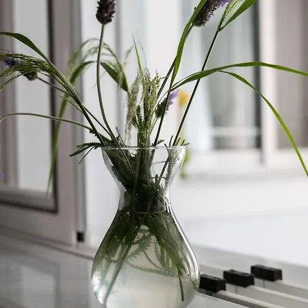 Cozy Grand In Appartamento