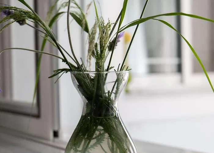 Cozy Grand In شقة